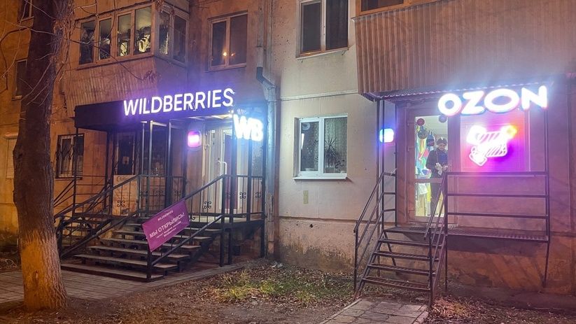  : Wildberries  Ozon       