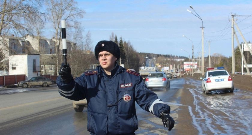 Штраф до 200 тысяч рублей: ГАИ будет проверять всех без исключения на наличие одной вещи