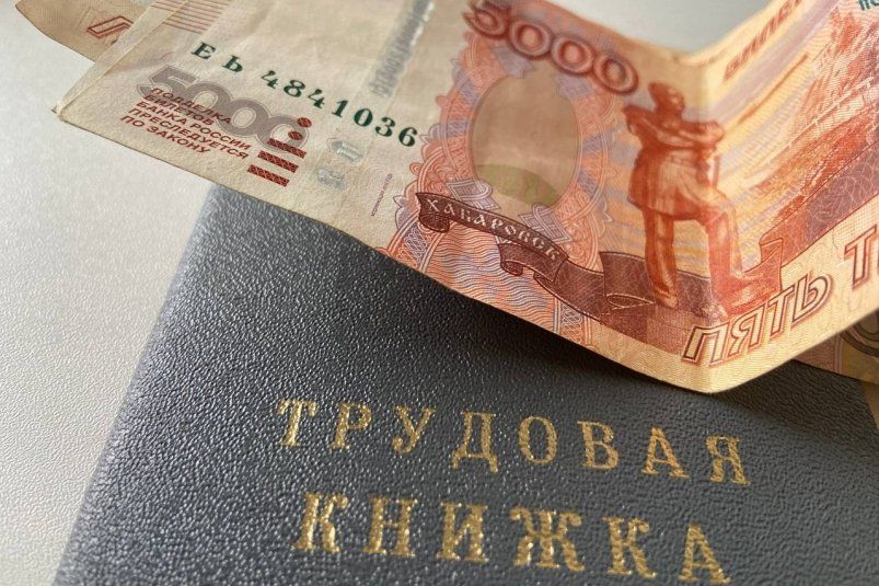 Всего 1 запись в трудовой умножает пенсию с мая - как официально оформить