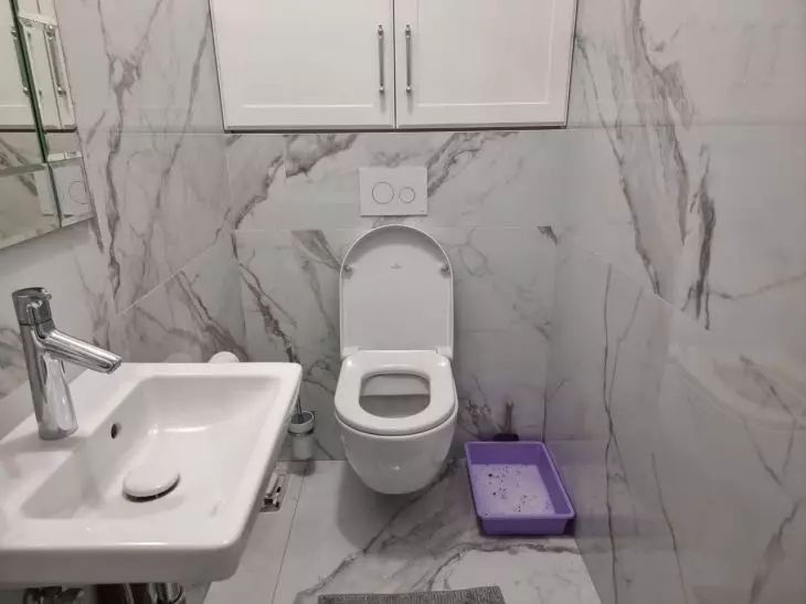   :       