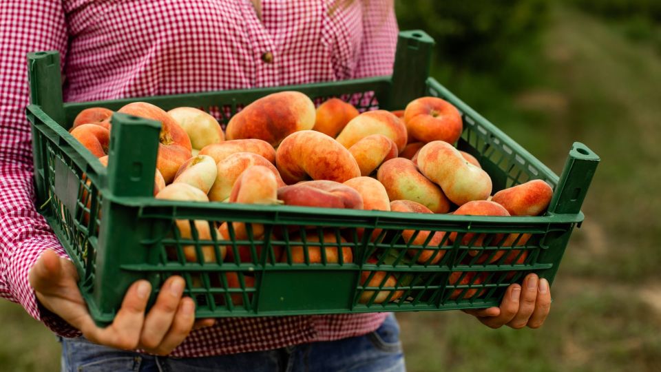 Эта деталь отличает сладкие персики от кислых: с выбором больше не ошибетесь