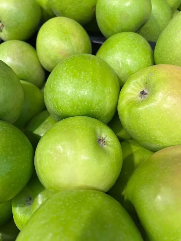 Как правильный выбор саженцев становится секретом успешного сада