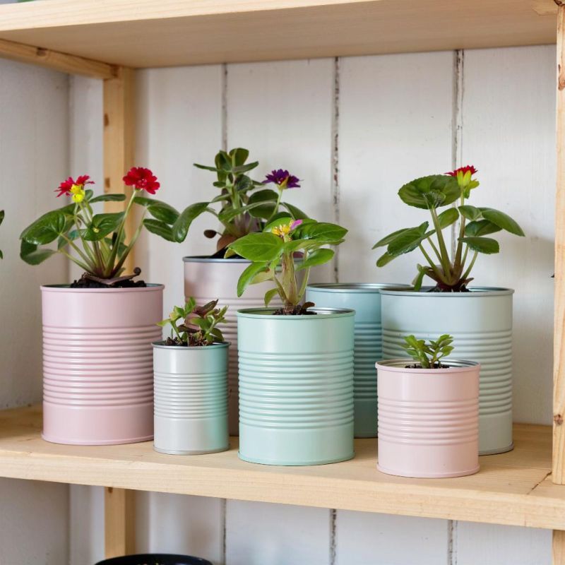 Уникальные цветочные горшки: как дать вторую жизнь консервным банкам