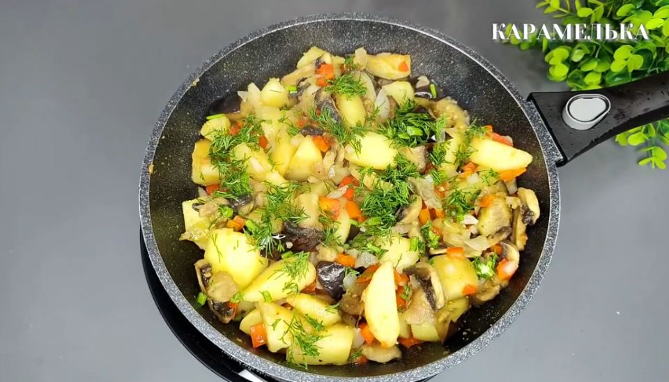 ��� �������� ��������� ������ ��������� � ������� � �����������