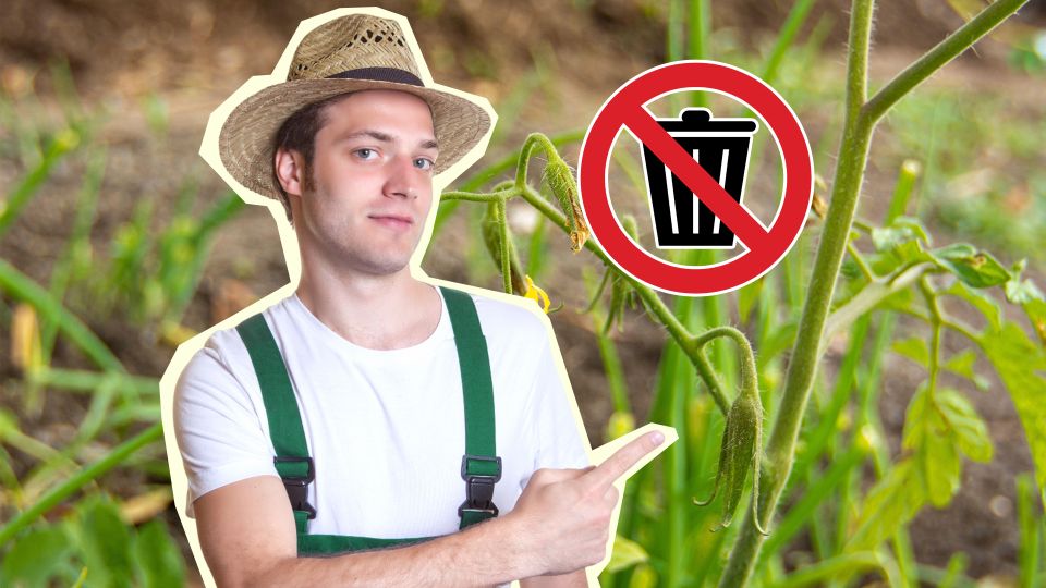 �� ������������ �������� �����: ������� �� ������ ����� �� ����������