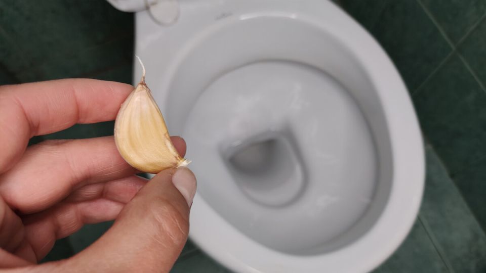 ������ � �������: ����������� �������� � ������� �������