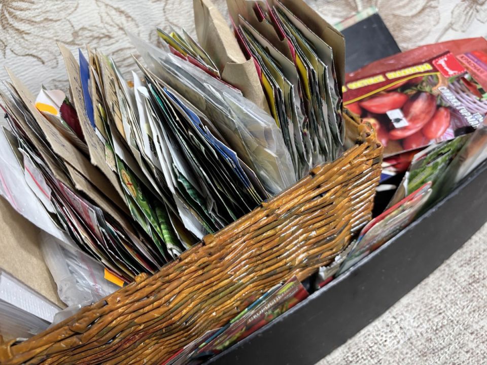 ������ ������ ������: ��� ������� � �� ��� �������� ��������