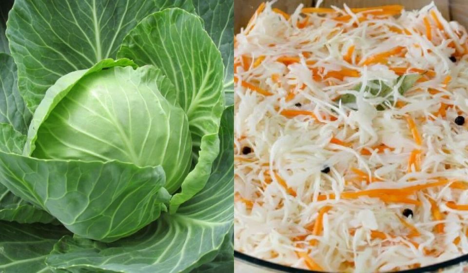 ������� ������ �������� ������� � ��� � ���� ������