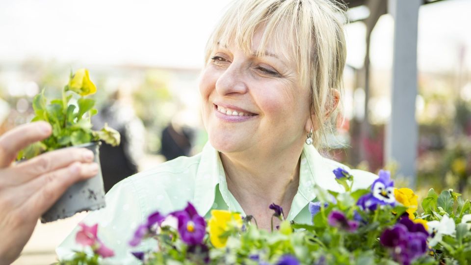 �� ������������� � ������� � ��� ��� ���: �������� ��� �������