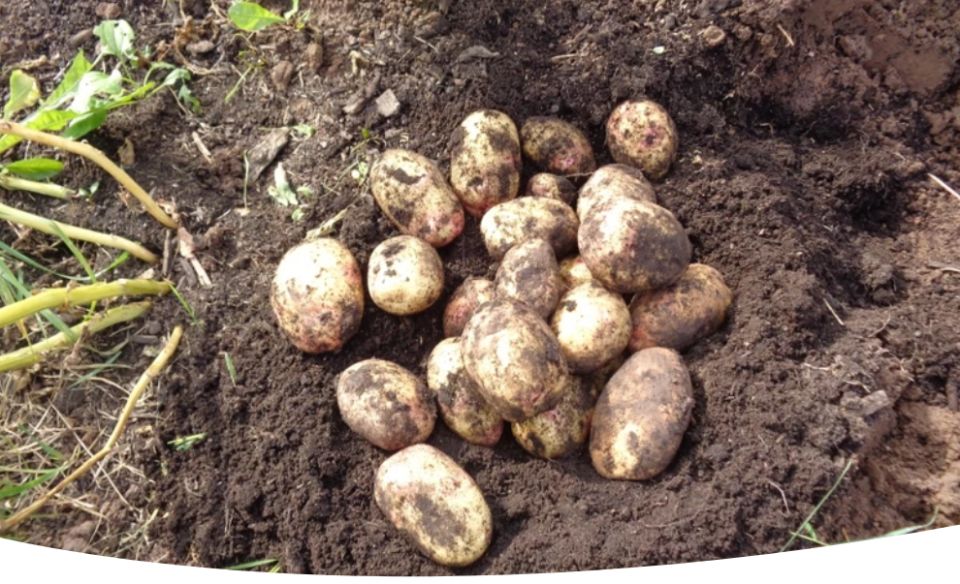 ����� � ��� �������� ���������: ������ � ������������ ��� �������� ������