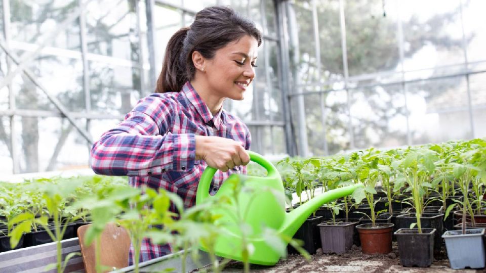 �������� �� ���� ���������� ��������� ��� �������: ��� ��������� ���������