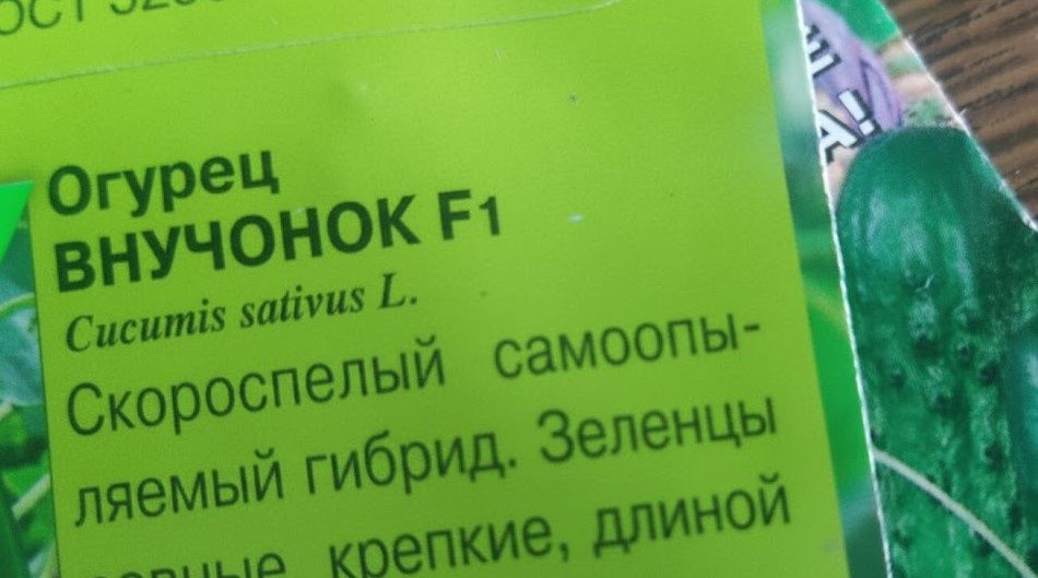 ������������ ��� ������ ������