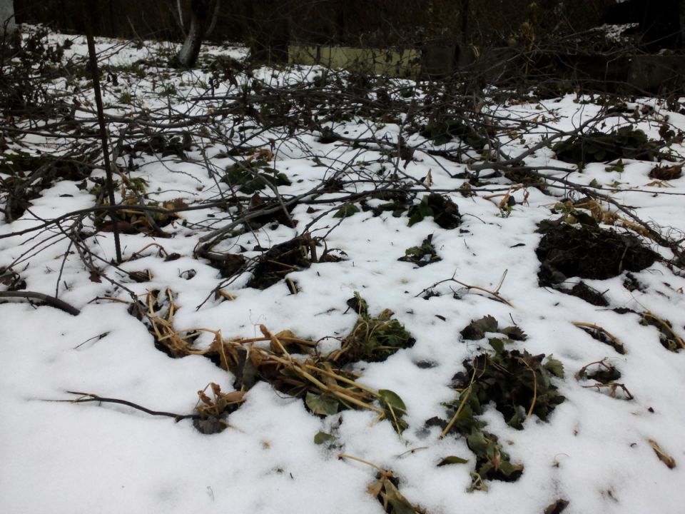 �������� ������ � ��������: ����� � ��� ��������� �� ���������� ����� ����