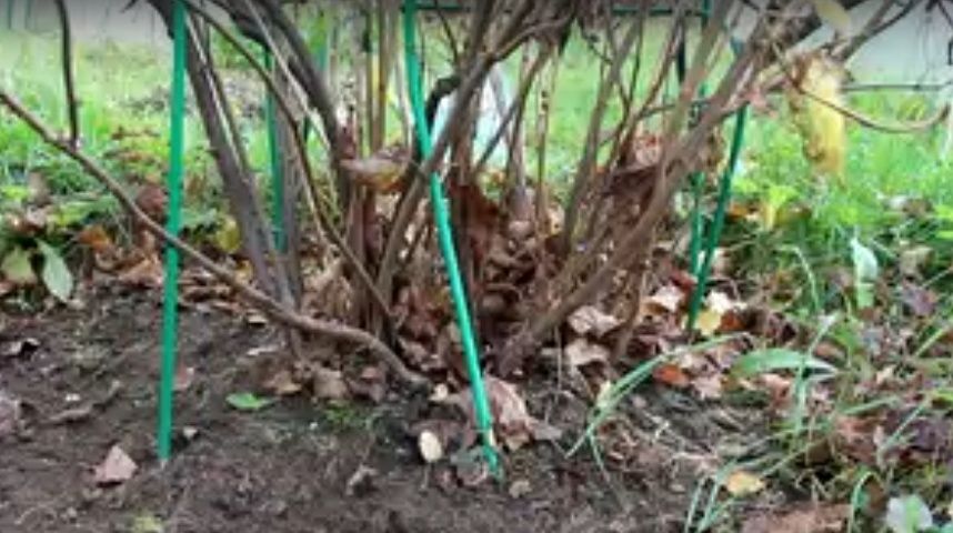 ����� �� ����: ��� �������� ��������� � ���������� ������ ������