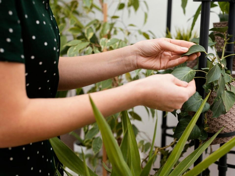 ������ ������ � �������� ���������: ��� �� ��������� ������