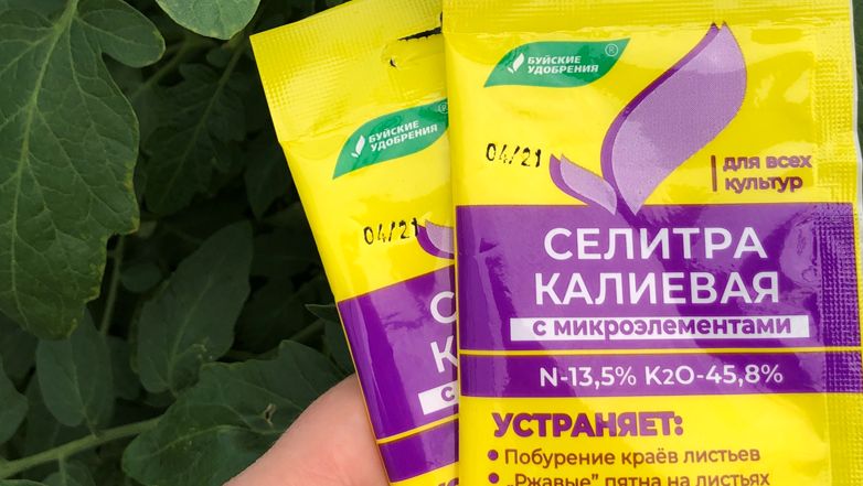 ������� ��������� ����� �������: ��� �������� ������� �������� � ����