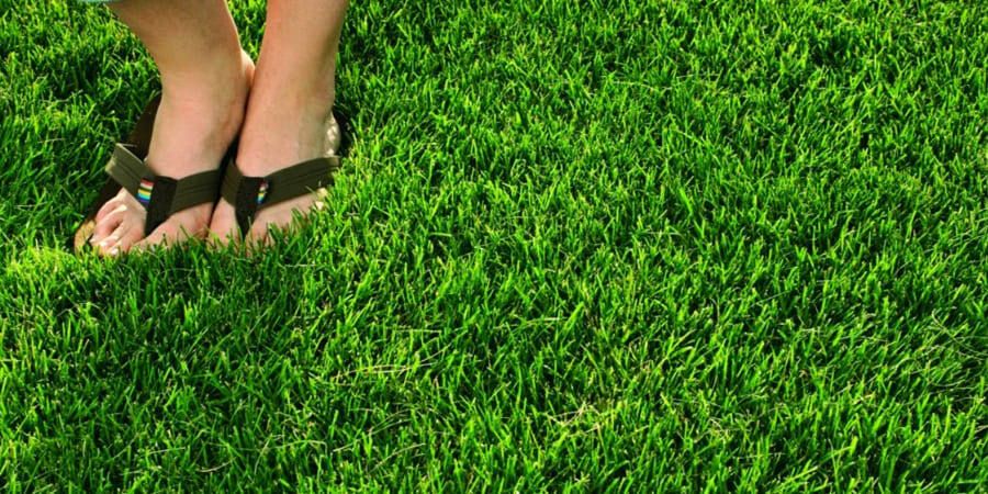 ������� �����: ��������� ������� ��� �������� �����