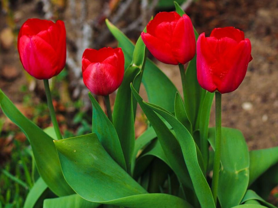 �������� �� ����: ������� �������� ������� ��� ������ �������� ������