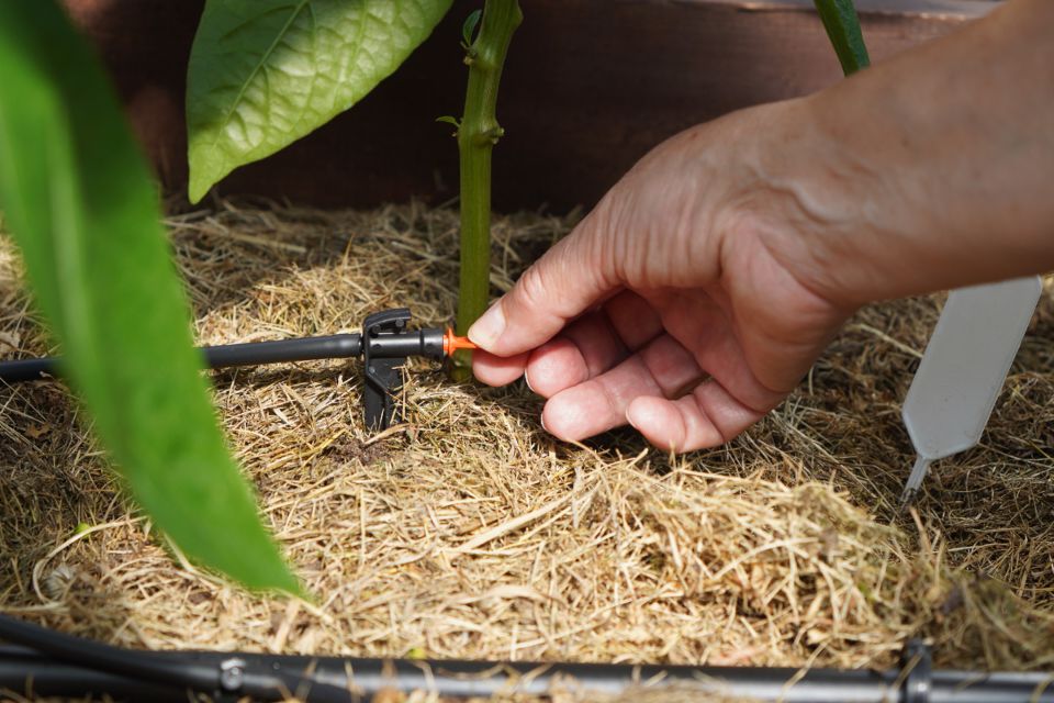 ������� ��������� �������: ����� � ��� ������������ ��������� ��� �������� ������