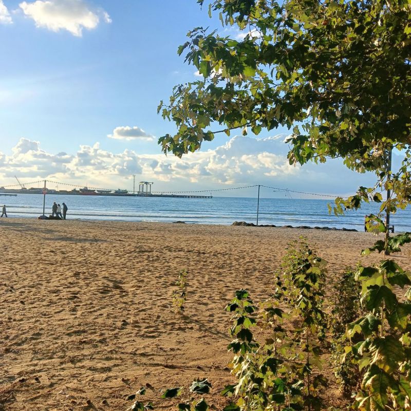 ������� ��������: ������� � ������� ������� ��� ��������� ����