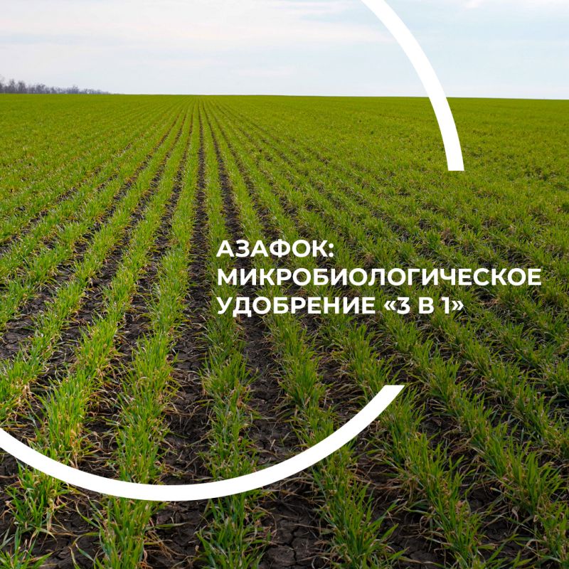 ������: ������������������ ��������� �3 � 1�