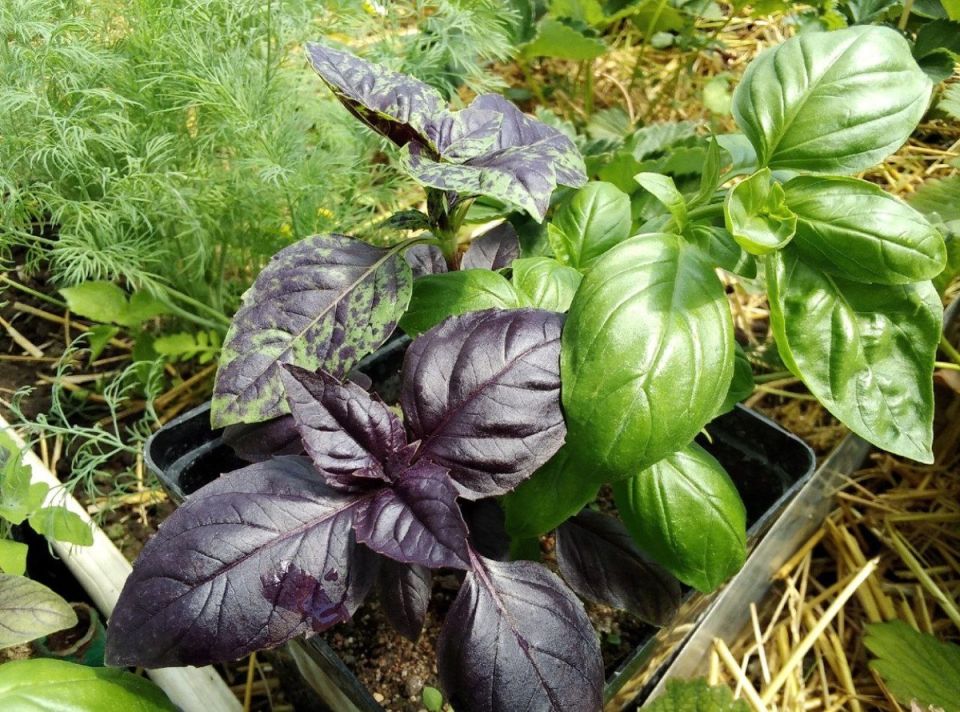 ����� � �� ����� ������������ �� ������ ������!