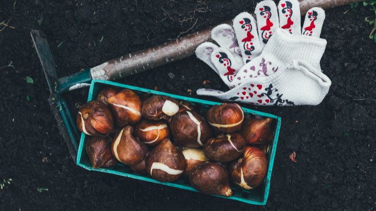 ���������� ������ ������� ���������: ����� � ����������� �� ���� ���