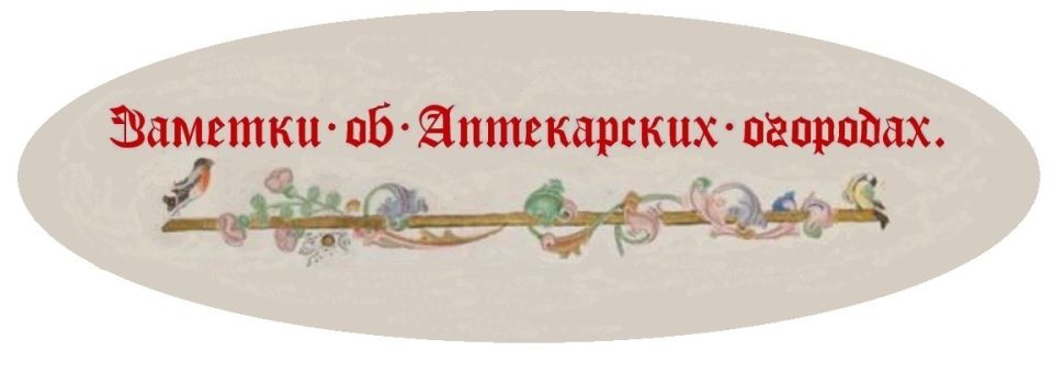 ������ �������, ������� ������: ���� � ���������� �� ������