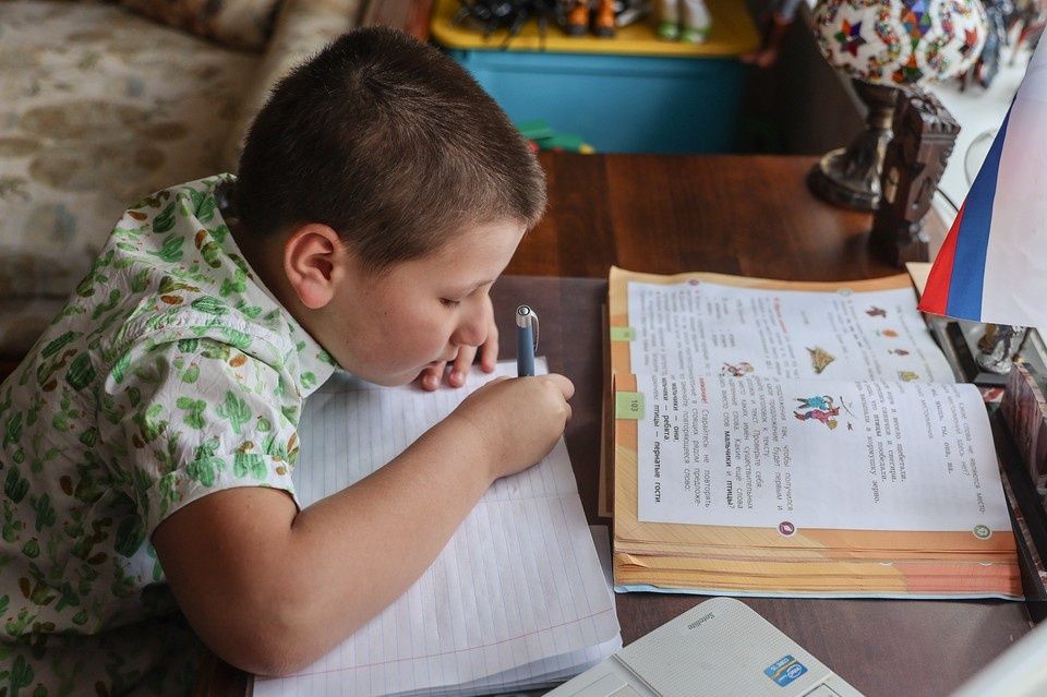 В России стремятся заблокировать сайты с домашними заданиями