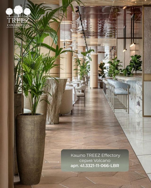 ����� ������������� �������� ������� � ������� � ��������� �� ������