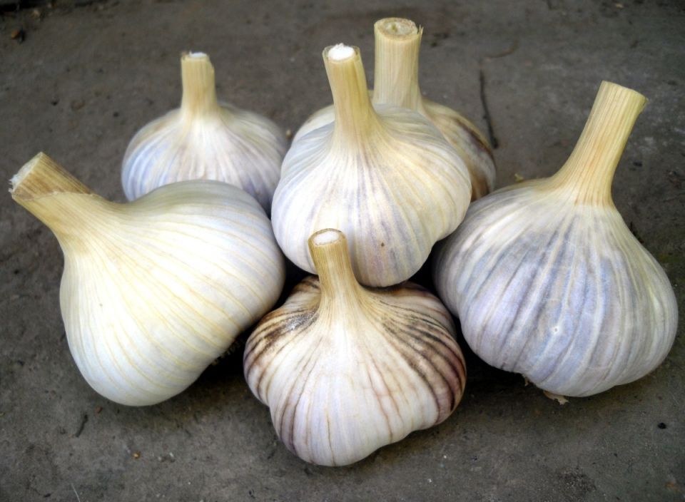 ��� ������� ������ � ������� ������� ������� ������ �� ������� ������