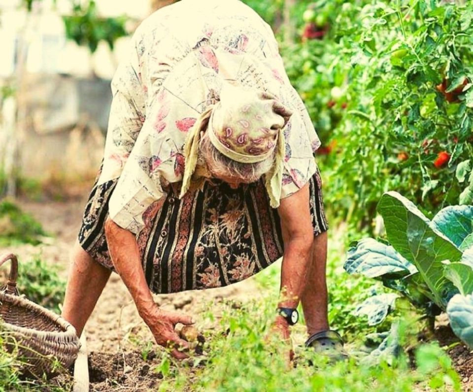 Дача без вреда для здоровья: зачем отдыхать на участке и как уйти от перегруза