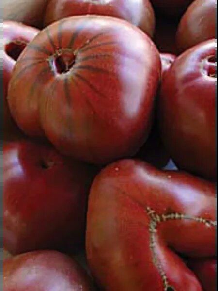 Томат Сахар коричневый: спокойная находка на грядке с шоколадным вкусом
