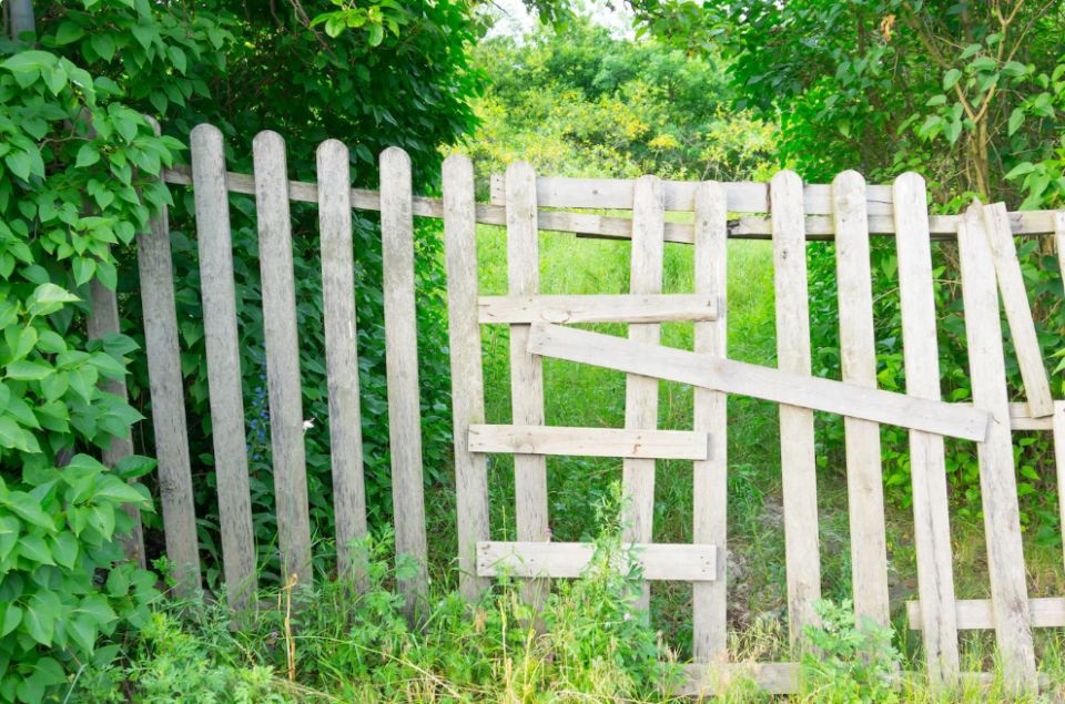 Как избежать штрафов на даче: практичный взгляд на разумные ограничения