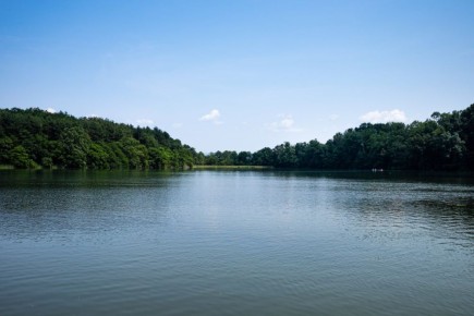     7- 