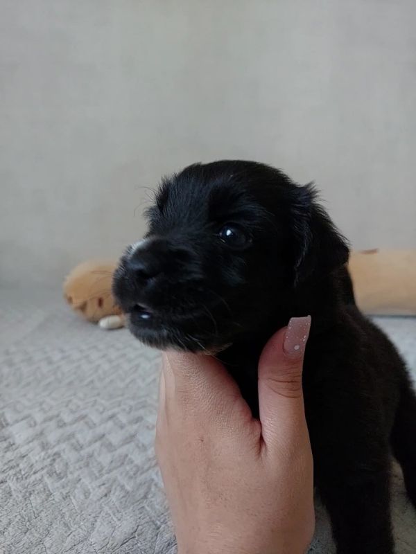  :   