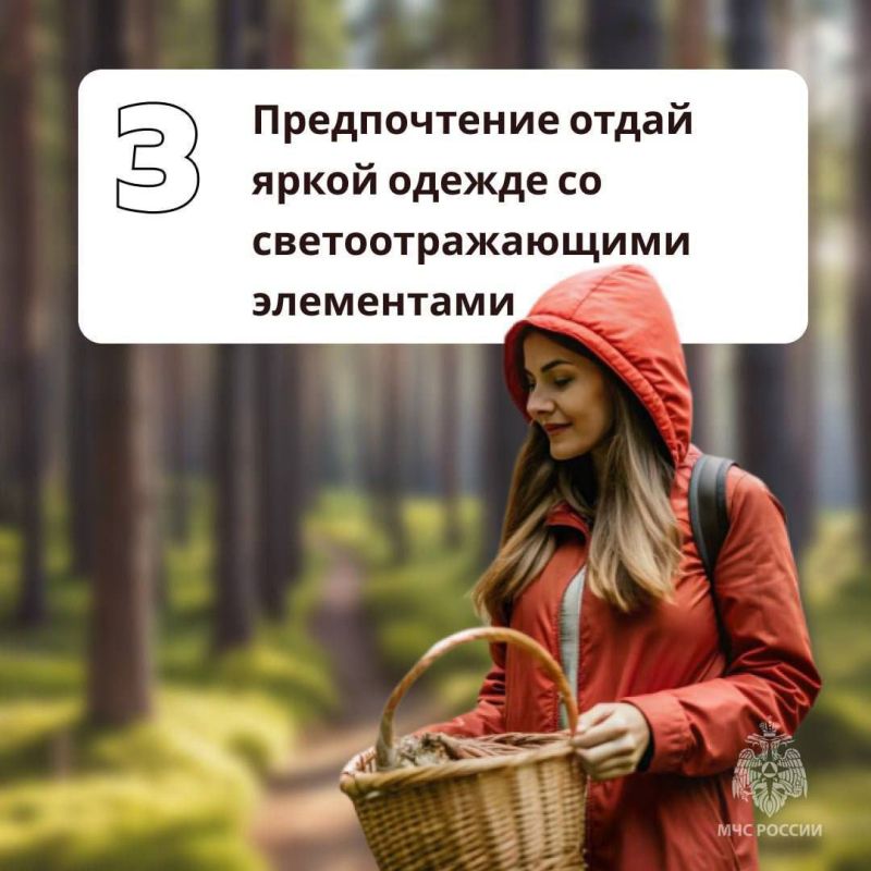 Грибникам на заметку. Как сходить за дарами леса и не угодить в беду - в памятках МЧС России