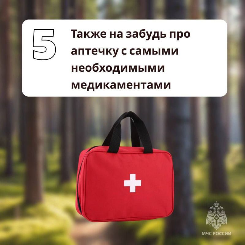 Грибникам на заметку. Как сходить за дарами леса и не угодить в беду - в памятках МЧС России