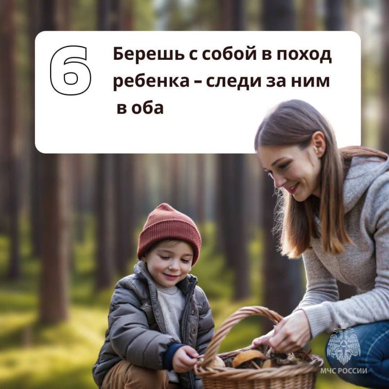 Грибникам на заметку. Как сходить за дарами леса и не угодить в беду - в памятках МЧС России