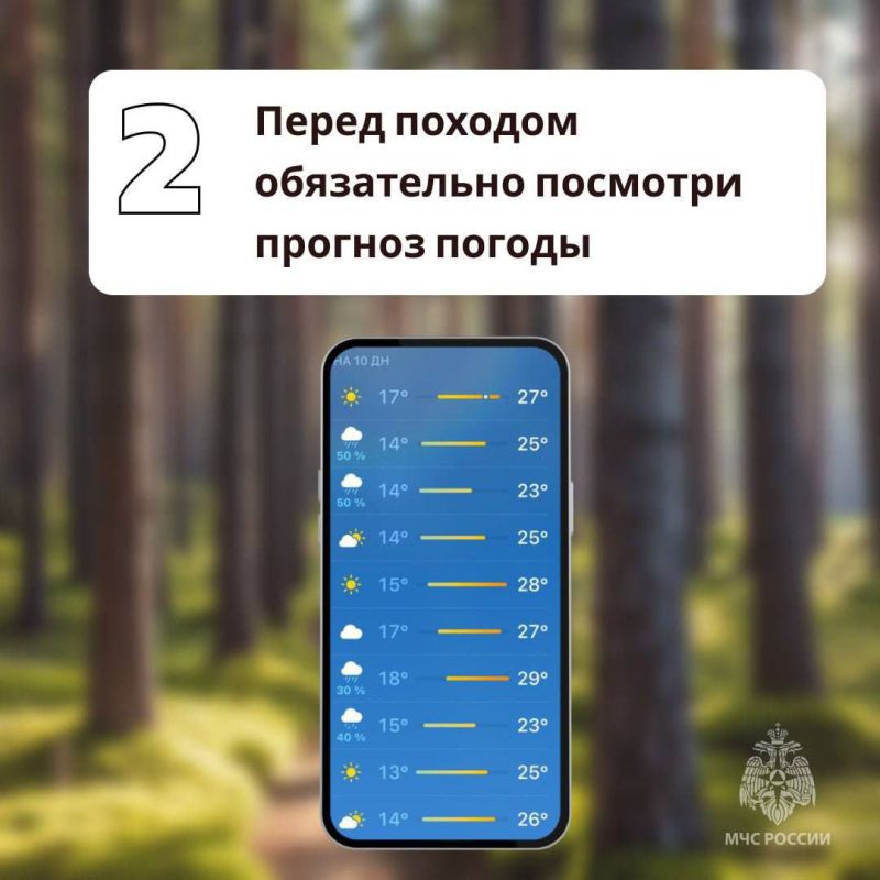 Грибникам на заметку. Как сходить за дарами леса и не угодить в беду - в памятках МЧС России
