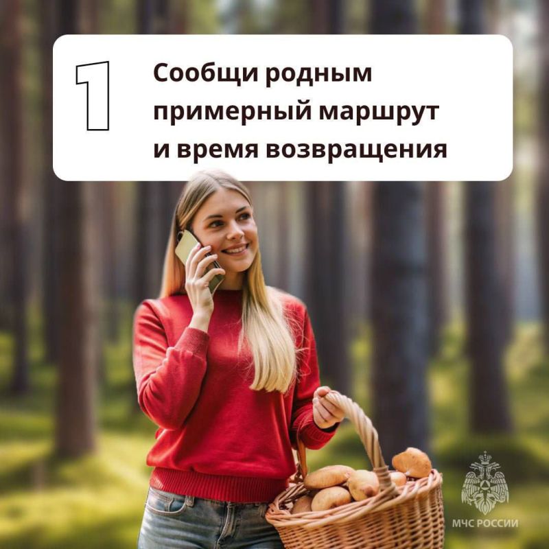 Грибникам на заметку. Как сходить за дарами леса и не угодить в беду - в памятках МЧС России