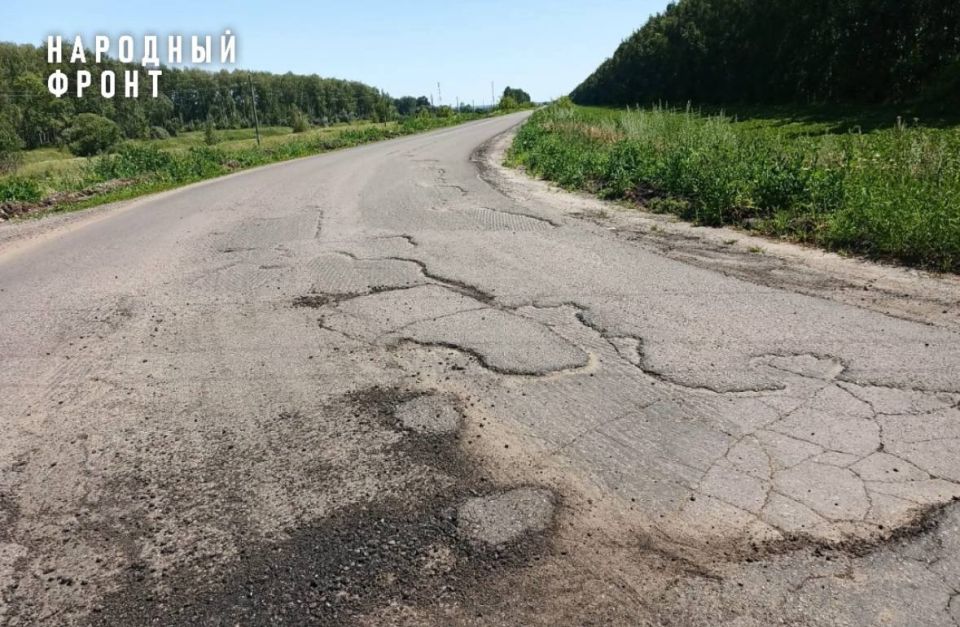 Народный фронт заинтересовался некачественным ремонтом дороги в Ржаксинском округе