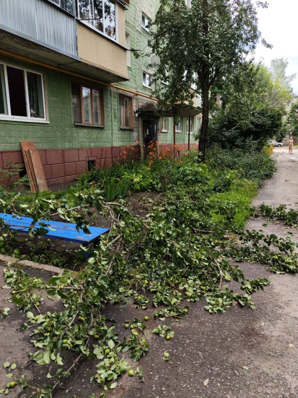 А это фотографии разрушенных ветром деревьев во дворах по Шацкой, Пензенской и Володарского