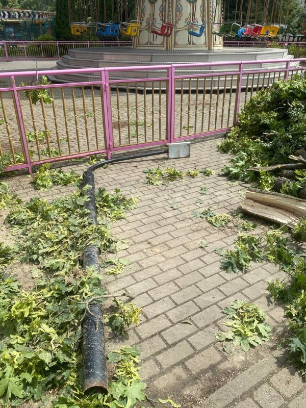 Еще несколько кадров из Парка культуры, где продолжают устранять последствия непогоды