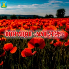     -  -2025,             ,   