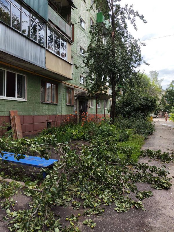 А это фотографии разрушенных ветром деревьев во дворах по Шацкой, Пензенской и Володарского