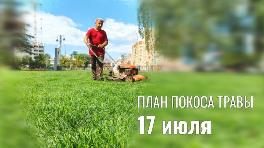   17 . 