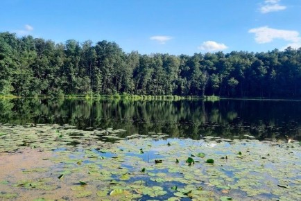 Святовское озеро в десяти километрах от Тамбова — одно из самых таинственных и живописных мест области