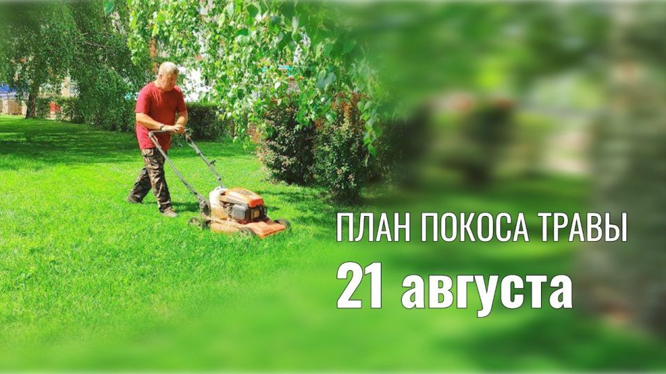    21 . :