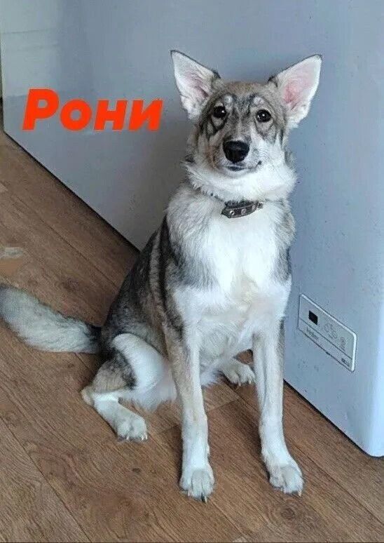  :   .     